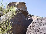 Petroglyph National Monument : New Mexico